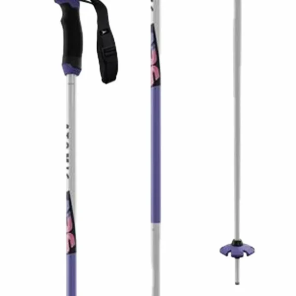 Atomic AMT SQS Retro ARC Ski Poles 2025