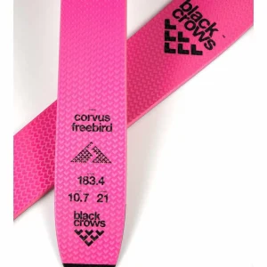 Black Crows Corvus Freebird Skis 2025