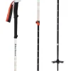 Black Diamond Expedition 2 Ski Poles 2025