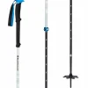 Black Diamond Expedition 2 Pro Ski Poles 2025