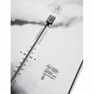 Burton Family Tree Alekesam Snowboard 2025