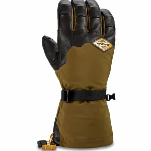 Women Dakine Team Phoenix Gore-Tex Gloves