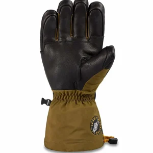 Women Dakine Team Phoenix Gore-Tex Gloves