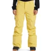 Women DC Nonchalant Pants - Women's