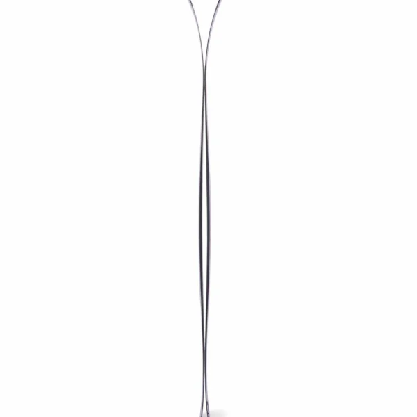 DPS Wailer 100 Skis 2025