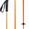 evo Merge Ski Poles 2025