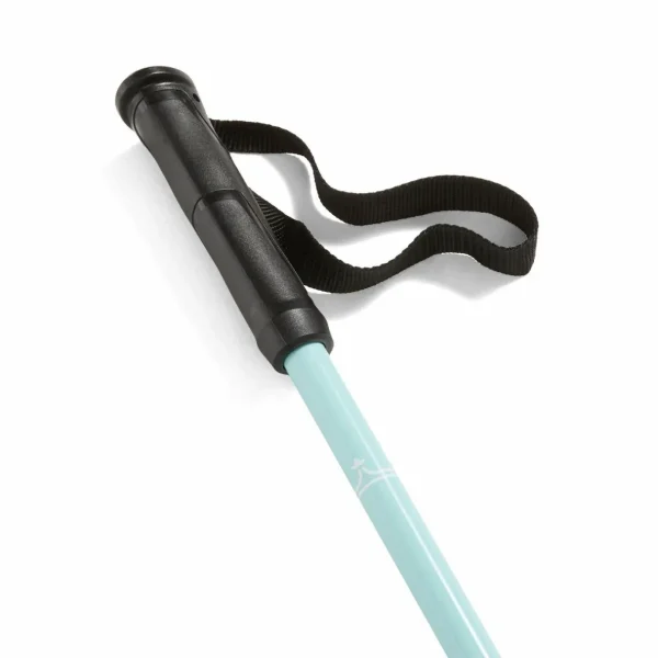 evo Merge Ski Poles 2025 - Used