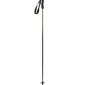 evo Overland Carbon Ski Poles 2025