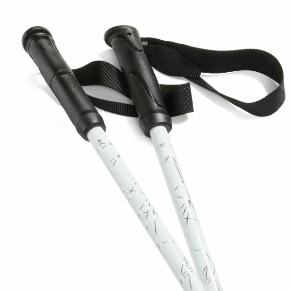 evo Refract Ski Poles