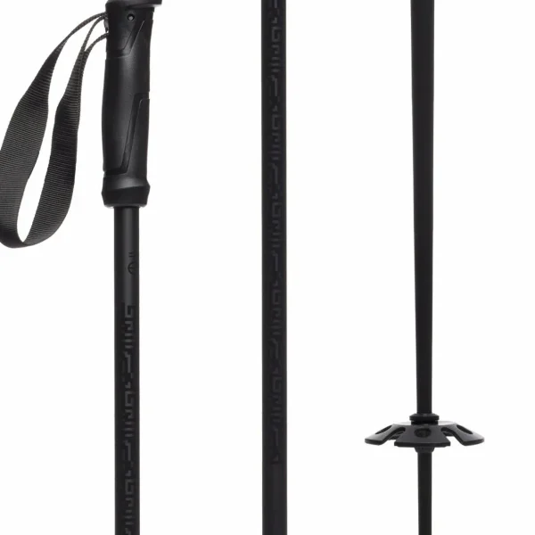 evo Refract Ski Poles