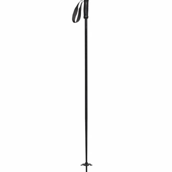 evo Refract Ski Poles