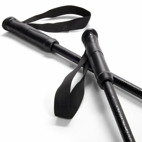 evo Refract Ski Poles