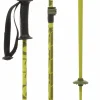 Kids K2 Sprout Adjustable Ski Poles - Kids' 2025