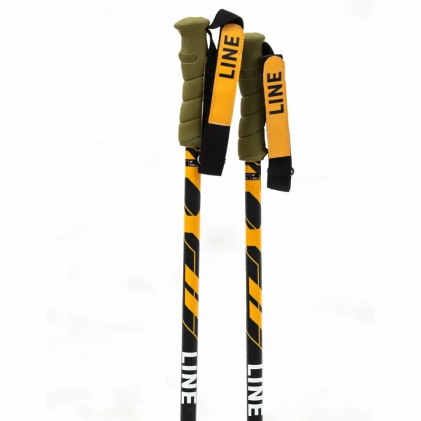 Line Skis Grip Stick Ski Poles 2024