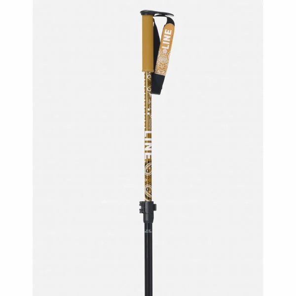 Line Skis Paintbrush Adjustable Ski Poles 2025