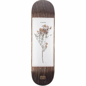 Pass~Port Invasive Species St Johns Wort 8.38 Skateboard Deck