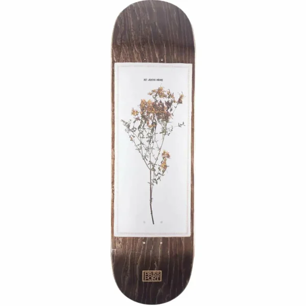 Pass~Port Invasive Species St Johns Wort 8.38 Skateboard Deck