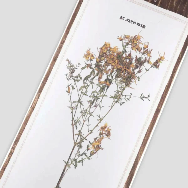 Pass~Port Invasive Species St Johns Wort 8.38 Skateboard Deck