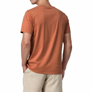 Women Patagonia Regenerative Organic Certified Cotton Lightweight Tee - Unisex
