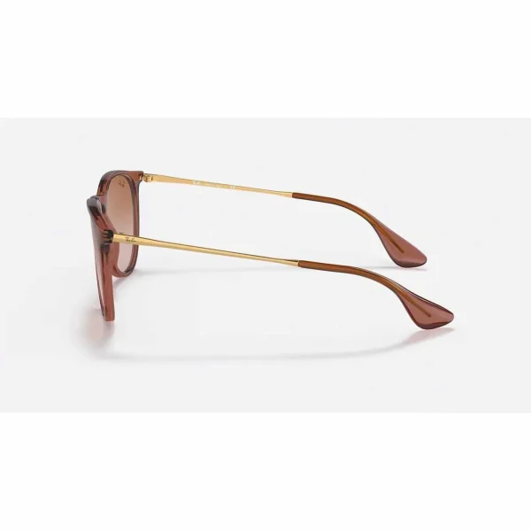 Women Ray Ban Erika 54 Sunglasses - Women's