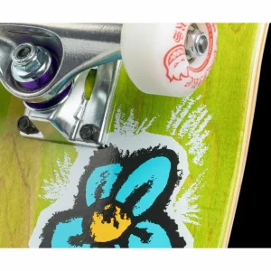 Real Regrowth DLX True Fit 8.25 Skateboard Complete
