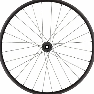 Roval Traverse Alloy 350 Wheel - 29