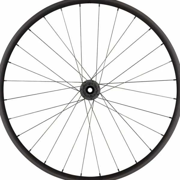 Roval Traverse Alloy 350 Wheel - 29"