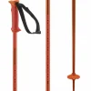 Salomon Polar Ski Poles 2025