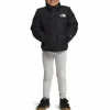 Kids The North Face 1996 Nuptse Jacket - Toddlers'