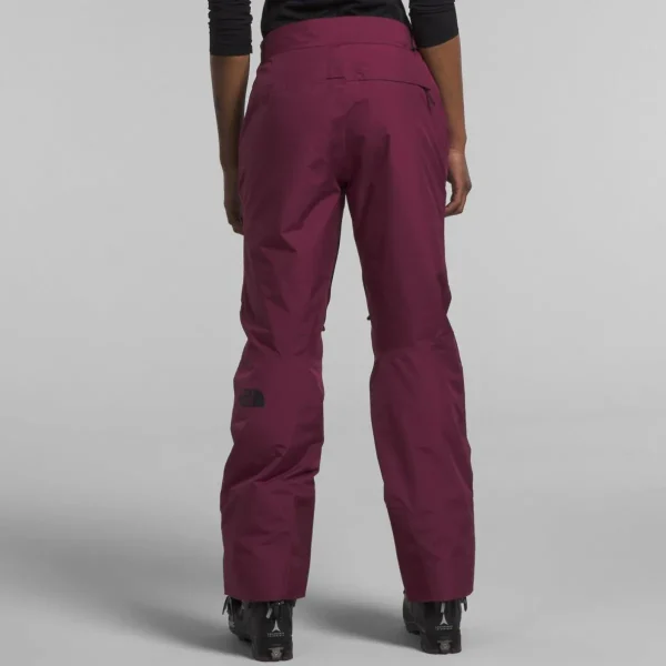 Women The North Face Dawnstrike GORE-TEX Insulated Pants - Women's