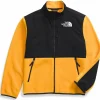 Kids The North Face Denali Jacket - Toddlers'