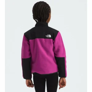 Kids The North Face Denali Jacket - Toddlers'