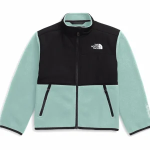 Kids The North Face Denali Jacket - Toddlers'