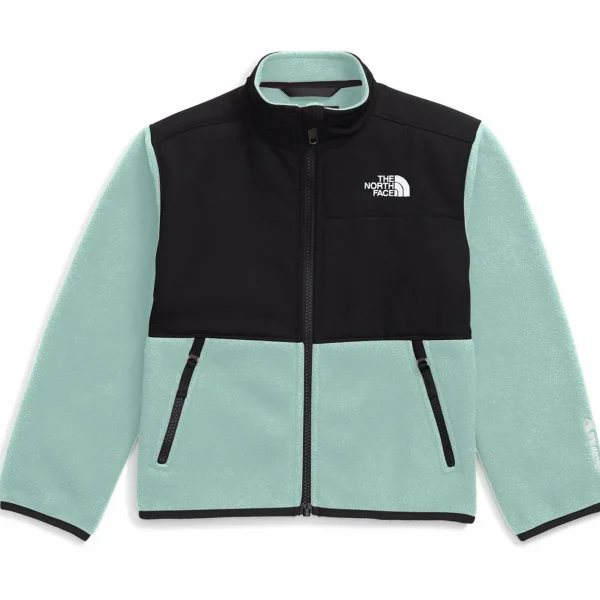 Kids The North Face Denali Jacket - Toddlers'