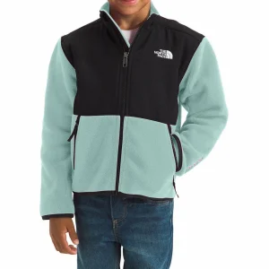 Kids The North Face Denali Jacket - Toddlers'