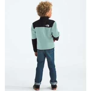 Kids The North Face Denali Jacket - Toddlers'