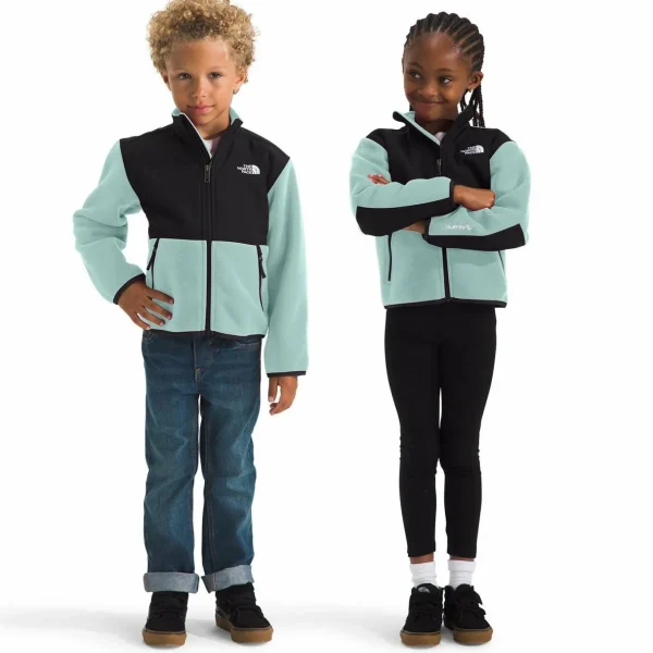 Kids The North Face Denali Jacket - Toddlers'
