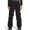 Kids The North Face Freedom Insulated Pants - Boys'