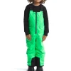 Kids The North Face Freedom Insulated Bibs - Kids'