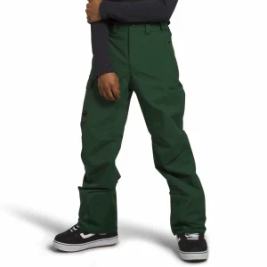 The North Face Freedom Pants - Men's