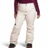 Women The North Face Freedom Stretch Plus Short Pants - Women's