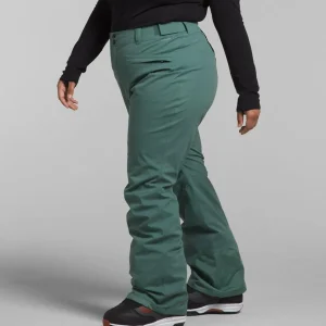 Women The North Face Freedom Stretch Plus Tall Pants - Women's