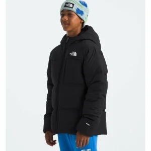 Kids The North Face North Down Hooded Jacket - Boys'