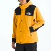Kids The North Face Teen GORE-TEX Mountain Jacket - Kids'
