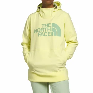 Women The North Face Tekno Pullover Hoodie - Women's