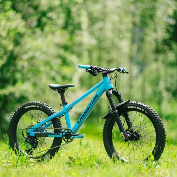 Kids Transition Bandit Complete Mountain Bike - Kids' 2025